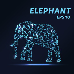 The elephant consists of points, lines and triangles. The polygon shape in the form of a silhouette of an elephant against a dark background Vector illustration.