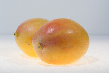 Two ripe organic yellow mangoes ready to eat close up