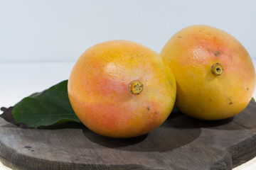 Two ripe organic yellow mangoes ready to eat close up