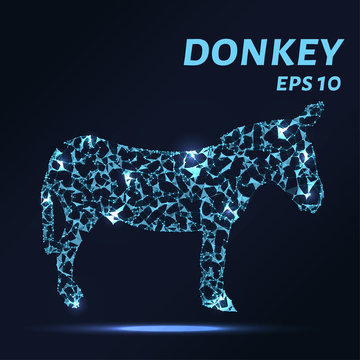 Donkey consists of points, lines and triangles. The polygon shape in the form of a silhouette of a donkey on a dark background Vector illustration.