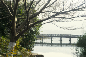 Bridge and leafless tree on West Lake