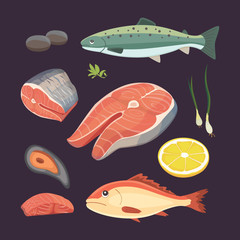 Vector Seafood illustrations set flat fresh fish