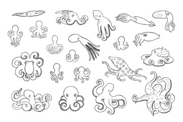 Hand drawn octopus set.