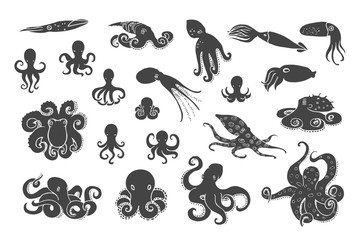 Hand drawn octopus set. Black silhouettes on white background