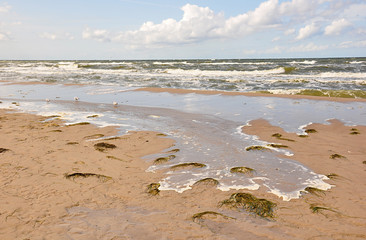 Plaża Bałtyk - obrazy, fototapety, plakaty