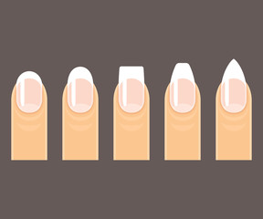 Manicure nail shapes © sudowoodo
