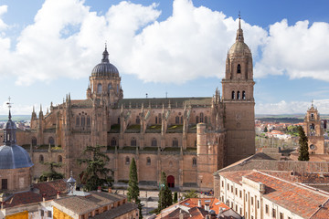 Fototapeta premium Salamanca Cathedral seen from La Clerecia, Spain