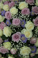 Purple and white wedding roses