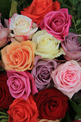 Mixed bridal roses