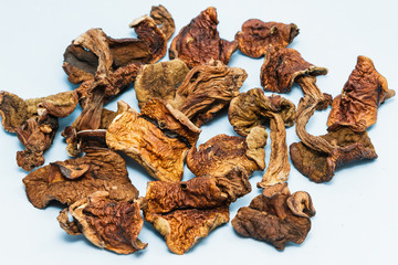 Dried mushrooms on the background.