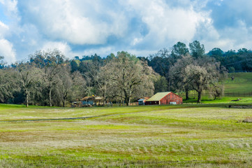 Obraz premium Foothill Farmhouse