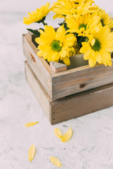 Yellow flowers in wooden box 