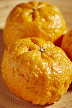 Colossal Gold Nugget Tangerines, A Variety From California, USA