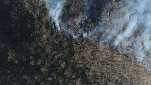 Aerial footage, the fire is smoldering in the woods...