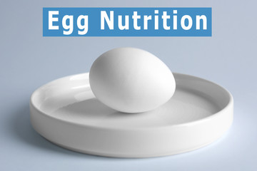 Raw egg on plate on white background
