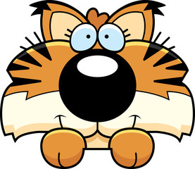 Cartoon Lynx Peeking