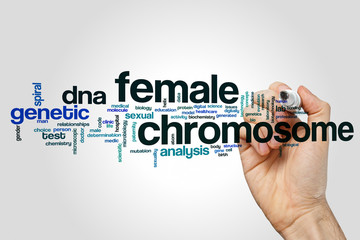 Female chromosome word cloud concept on grey background