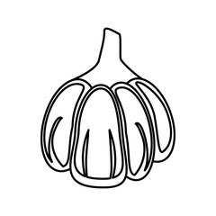 garlic food healthy image outline vector illustration eps 10