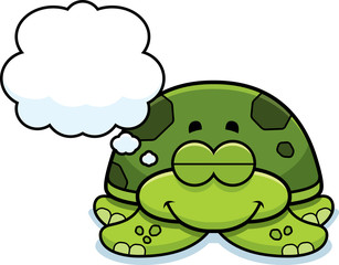 Dreaming Little Sea Turtle