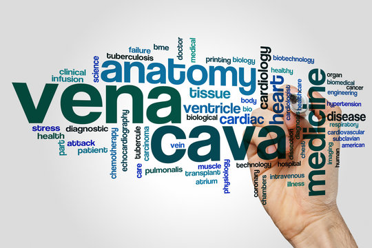 Vena Cava Word Cloud