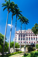 View of Ramos de Azevedo square in Sao Paulo, Brazil