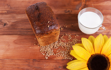 Milk, bread, wheat kernels and color of the sunflower on the Board. The view from the top