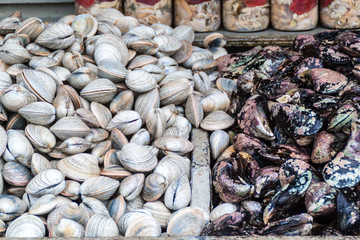 Mussels for sale at the fish market in Puerto Montt, Chile