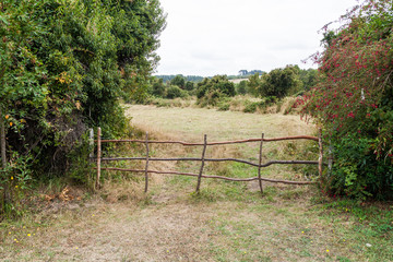 Wooden gate to a pasture in Frutillar, Chile