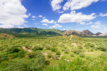 Fototapeta premium Lush valley with ruins and trails of the Inca Shinkal in Catamarca, Argentina