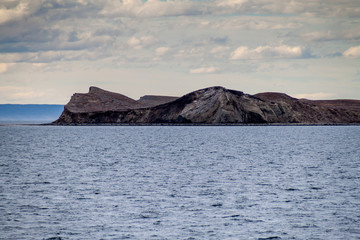 Fototapeta na wymiar Isla Magdalena island in Magellan Strait, Chile