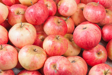 collected a pile of fresh red apples