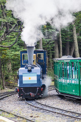 Obraz premium Tourist steam train in National Park Tierra del Fuego, Argentina