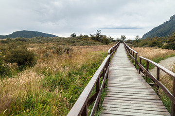 Fototapeta na wymiar Boardwalk in National Park Tierra del Fuego, Argentina
