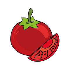 tomato vegetable food fresh vector illustration eps 10