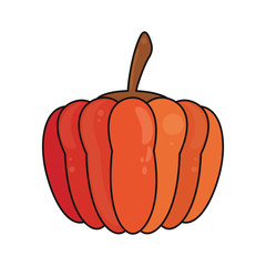 pumpkin vegetable food fresh vector illustration eps 10