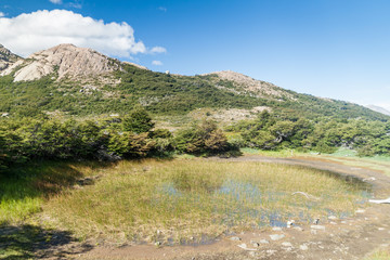 Nature in National Park Los Glaciares, Patagonia, Argentina