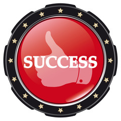 Fototapeta premium success icon