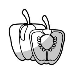 pepper half nutrition food - shadow vector illustration eps 10