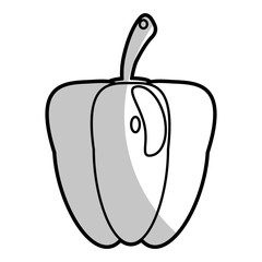 pepper nutrition food - shadow vector illustration eps 10