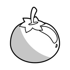 tomato food nutrition - shadow vector illustration eps 10