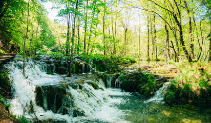 Waterfall in the national park Plitvice Lakes, Croatia. Waterfall in the forest.