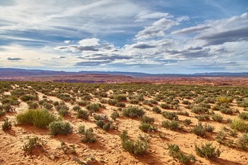 Fototapeta na wymiar Incredibly beautiful landscape in National Park, Arizona, USA
