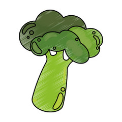 drawing broccoli food nutrition vector illustration eps 10