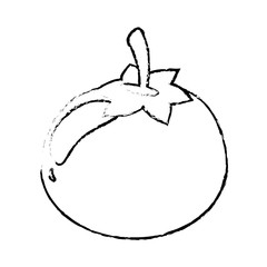 tomato food diet healthy sketch vector illsutration eps 10