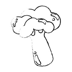 broccoli food diet healthy sketch vector illsutration eps 10