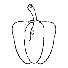 pepper food diet healthy vector illsutration eps 10