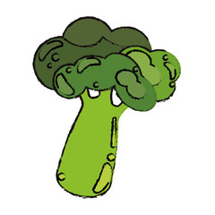 broccoli food diet healthy vector illsutration eps 10