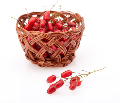 Ripe barberries