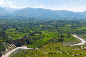 Colca Canyon Peru