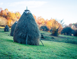 stack of hay maramures romania